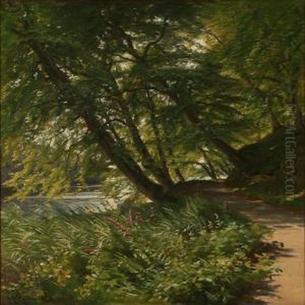 Summer Day At A Forest Road With A View To A Stream - view 1