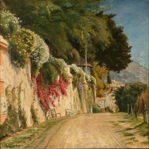 Summer Day With Colourful Flowers Growing Over A Wall