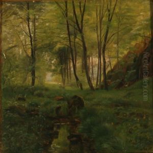 Serpentine Stream In A Forest At Summer Time Serpentine Stream In A Forest At Summer Time