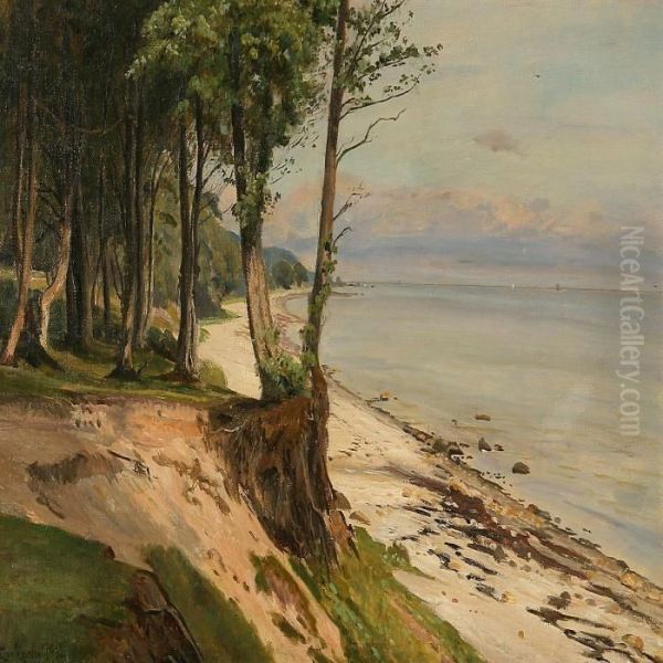 Coastal Scene At Summer Time - view 1