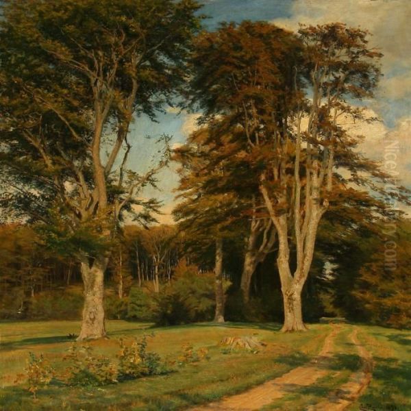 Hoje Boge Isaebygaard Skov - view 1