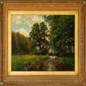 Stream Through Aforest by Christian Zacho