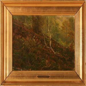 Forest Scene Forest Scene