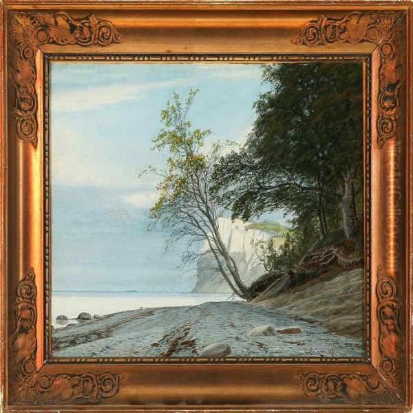 Coastal Scenery Fromthe Cliffs Of Moen, Denmark - view 1