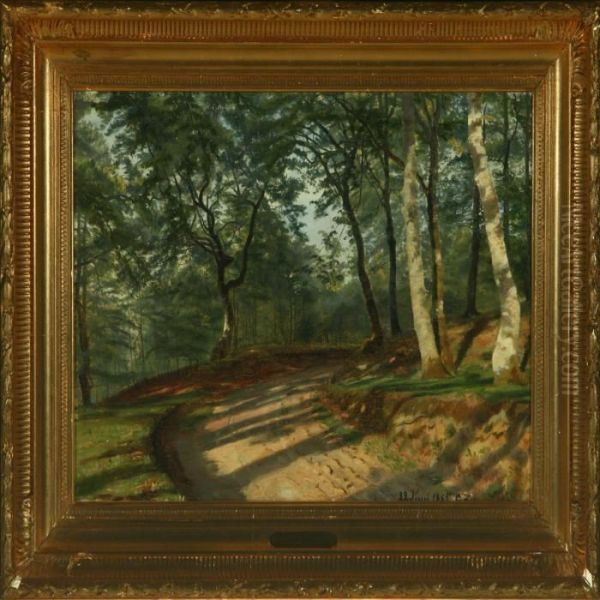 Winding Road Through The Forrest - view 1