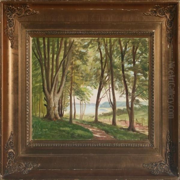Forest Scenery With A View To A Lake - view 1