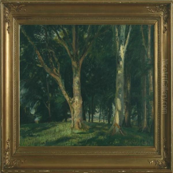 Forest Scenery - view 1