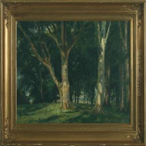 Forest Scenery by Christian Zacho