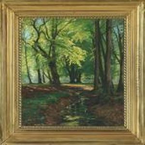 Woodland Scene Withstream by Christian Zacho