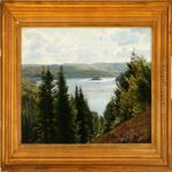 Scene From Silkeborg Lake District, Denmark - view 1