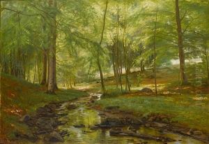 A Sunlit Wood