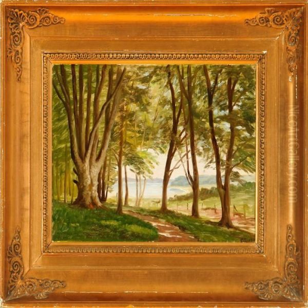 A View Through A Forest - view 1