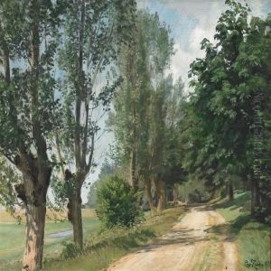 A Sunny Country Road A Sunny Country Road