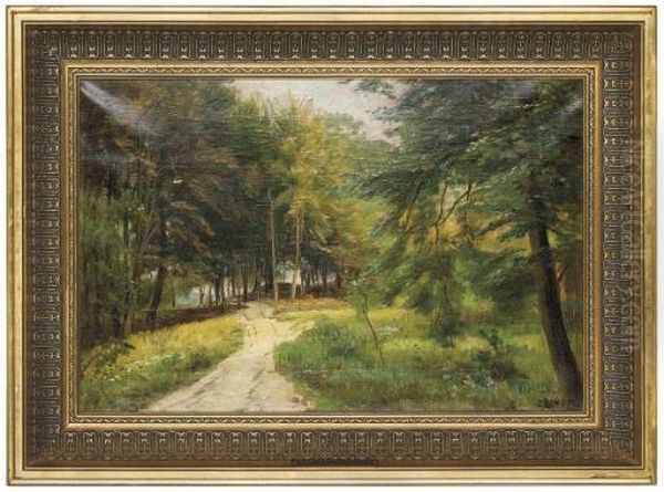 A Woodland Path - view 1