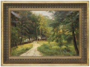 A Woodland Path by Christian Zacho