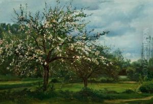 Fruit Trees In Bloom, France by Christian Zacho
