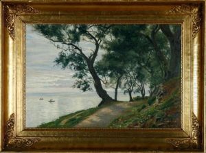Danish Coastal Scenery by Christian Zacho