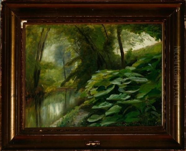 A Forest Scenery With A Stream - view 1
