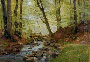 Brook In A Forest by Christian Zacho