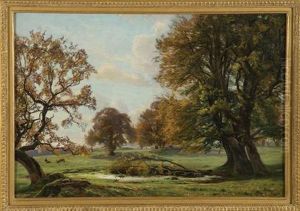 Woodland Scene With Reindeer Grazing