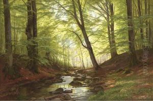 A Stream In A Forest A Stream In A Forest