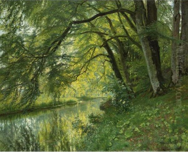 River Landscape - view 1