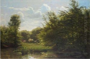 Summer Landscape Summer Landscape