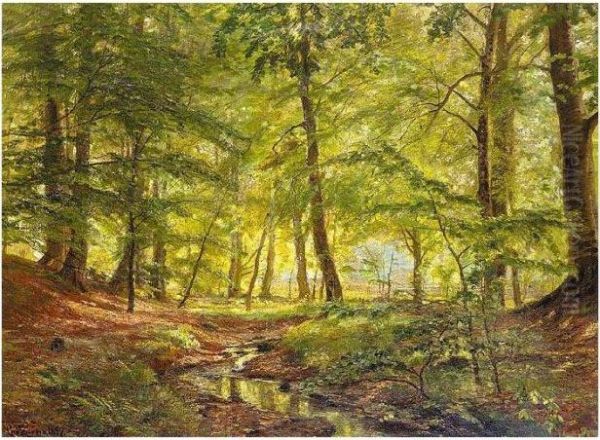 In Woodland - view 1