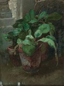 Vaso Di Fiori by Erma Zago