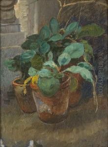 Vasi Di Fiori Ai Piedi Di Scalinata