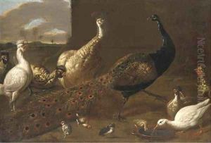 A peacock, a peahen, ducks and fowl poultry in a yard by Adriaen van Utrecht