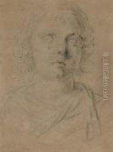 Head Of A Boy by Domenico Zampieri (Domenichino)
