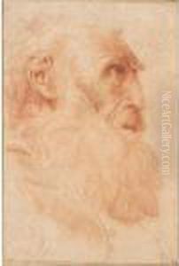 The Head Of A Bearded Old Man, Seen In Profile by Domenico Zampieri (Domenichino)