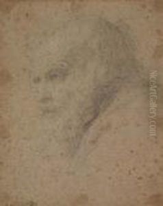 Head Of An Old Man<</b> by Domenico Zampieri (Domenichino)