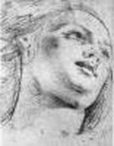 Tete De Femme Fusain Sur Papier Beige by Domenico Zampieri (Domenichino)