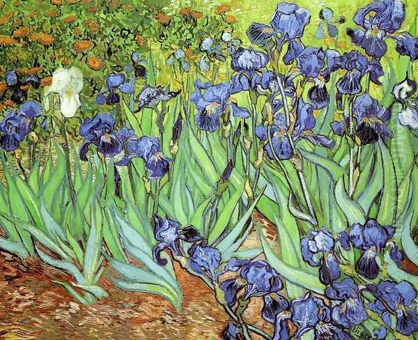 Irises - view 1