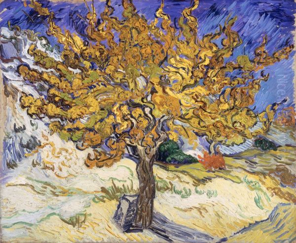 Mulberry Tree - view 1