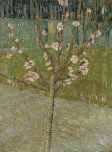 Almond Tree In Blossom