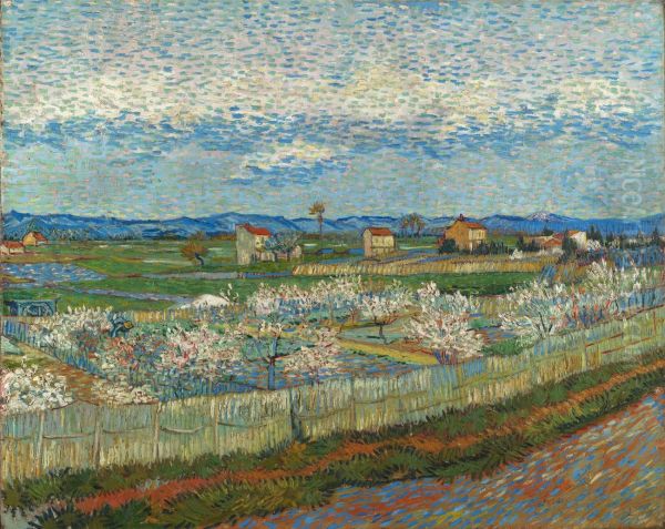 Peach Trees in Blossom - view 1