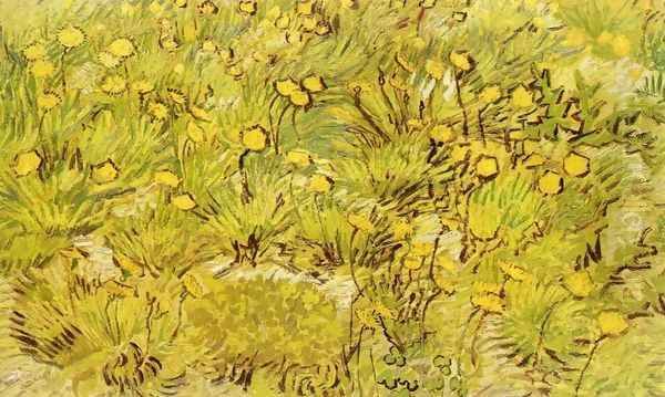A Field of Yellow Flowers - view 1