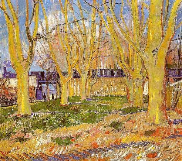 Avenue Of Plane Trees Near Arles Station - view 1
