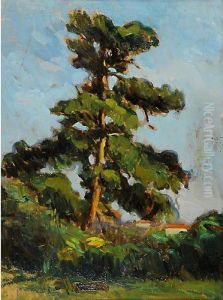 Albero by Giovanni Zangrando