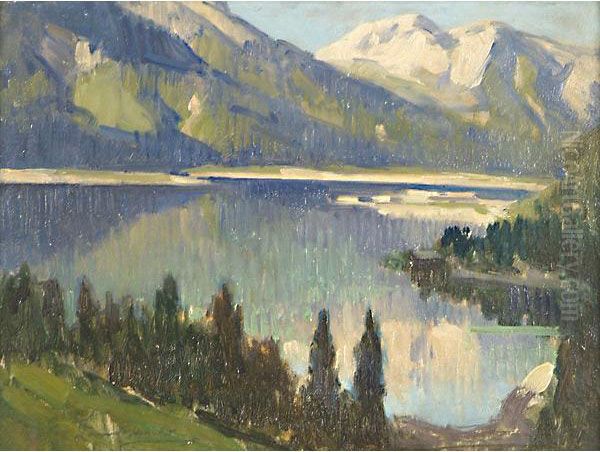 Lago Alpino - view 1