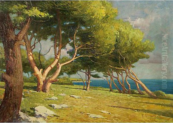 Pineta A Cigale - view 1