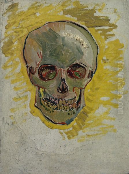 Skull - view 1