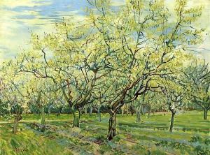 Orchard with Blossoming Plum Trees