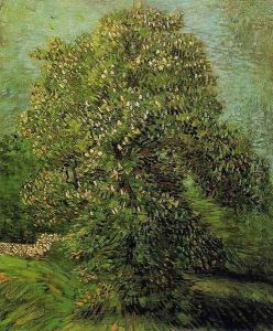 Chestnut Tree In Blossom II