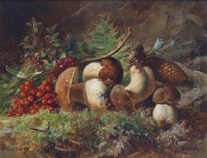 "toadstools"