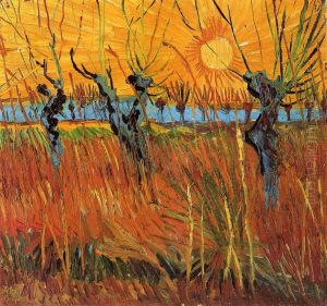 Pollard Willow with Setting Sun
