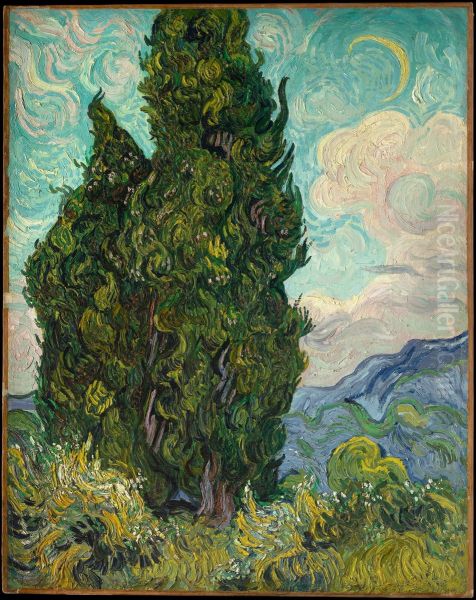 Cypresses - view 1